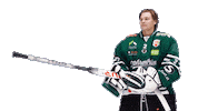 Goal Hockey Sticker by EC Bregenzerwald