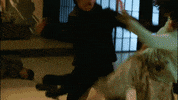 Martial Arts Movie GIF by Magnolia Pictures