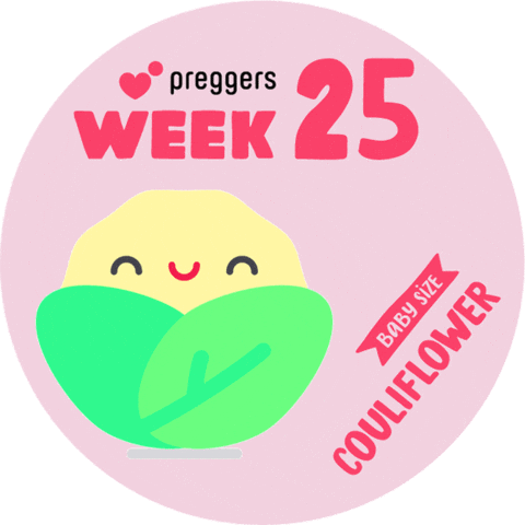 Baby Pregnancy Sticker by Preggers