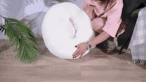 BellaToby giphyupload GIF