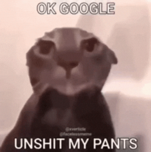 Okgoogle GIF