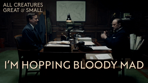 Angry Channel 5 GIF by All Creatures Great And Small