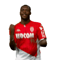 Ligue 1 Football Sticker by AS Monaco