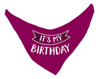 Birthday Party Photography Sticker by puppytales