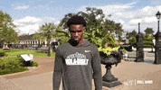 College Basketball James GIF by GreenWave