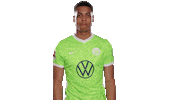 In Love Football Sticker by VfL Wolfsburg