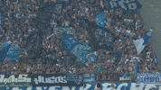 Football Soccer GIF by FC Schalke 04