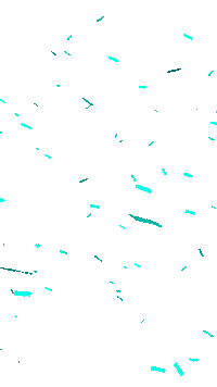 Carnaval Confetti Sticker by B on Stage