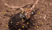 GIF by KQEDScience