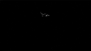 Drop Down GIF by X Ambassadors