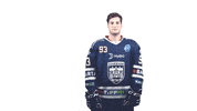 Hockey Hoki GIF by Fehervar AV19