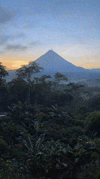 arnellelozada tropical environment landscape sunrise GIF