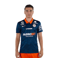 Raler Sticker by MHSC