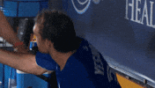 Blue Jays Baseball GIF by Toronto Blue Jays