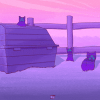 cats psychedelics GIF by Phazed