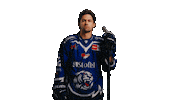 Pennydel Sticker by Straubing Tigers