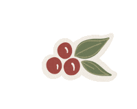 Advent Sticker by Revive Our Hearts