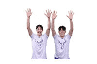 Jumbos Koreanair Sticker by kal_jbos