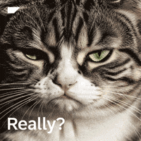 Cringe No GIF by SAP