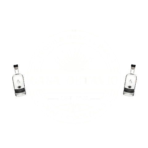 Octaviotequila giphyupload octavio octaviotequila casaoctavio Sticker