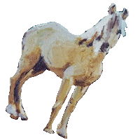 browndogfarmstudio art animals horse painting Sticker