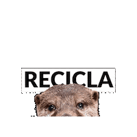 Nutria Sticker by ecoembes