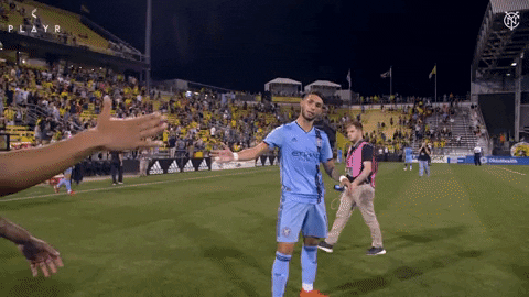 mls GIF by NYCFC