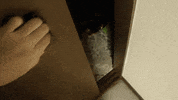 hello GIF