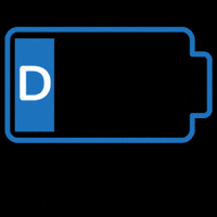 Ddcc GIF by The Doggy Day Care Centre Ltd.