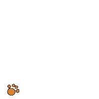 Dog Pet Sticker