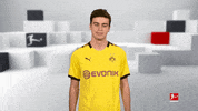 Football Flirting GIF by Bundesliga