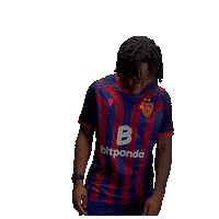 Football Soccer Sticker by FC Basel 1893
