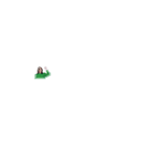 Pinheiro Sticker by Lucyana Genésio