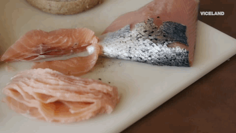 salmon GIF by Dead Set on Life