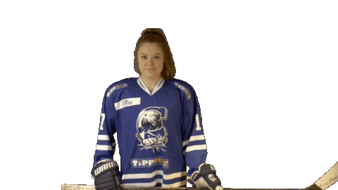 macbudapestmedia giphyupload Sticker