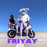 Friday Bunny GIF