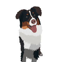 Dog Aussie Sticker