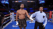 toprank fight boxing fighting espn GIF