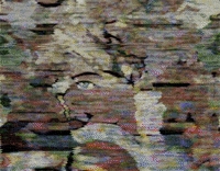 animation glitch GIF by Ryan Seslow