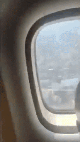 insight1 giphyupload GIF