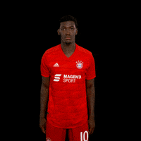 Fc Bayern Bayernmunchen GIF by 3Liga