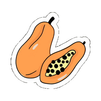Summer Fruit Sticker by La Pradera Online