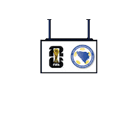 World Cup Football Sticker by Pudgy Penguins