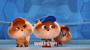 Whats Up Hello GIF by PAW Patrol: The Mighty Movie