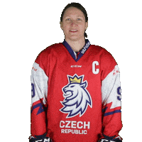 Celebration Hockey Sticker by Národní tým