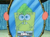 season 5 episode 3 GIF by SpongeBob SquarePants