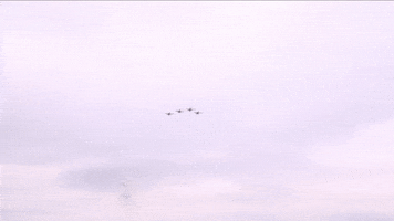 Memorial Day Plane GIF by NASCAR
