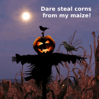 Halloween Autumn GIF