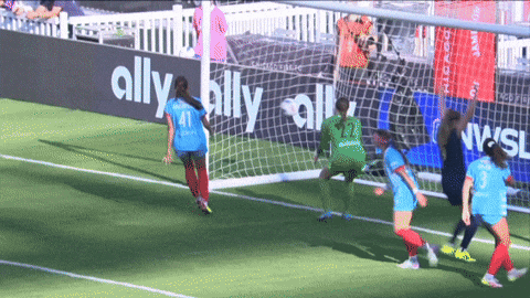 Seattlereign GIF by National Women's Soccer League