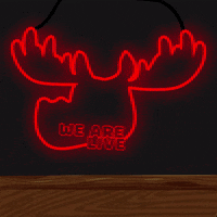 DoYouMoose live light neon web3 GIF